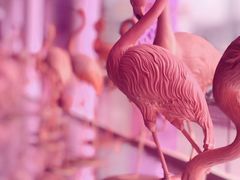 -红星美凯龙(山东全球家居1号店)