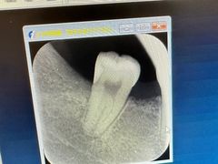 -艾维口腔(春江花月门诊部)