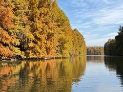 -上海海湾国家森林公园