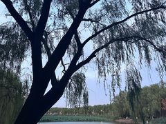 -咸阳湖景区