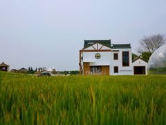 -MUSEO COFFEE咖啡博物馆