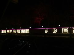 -枫花园汽车电影院(朝阳公园店)