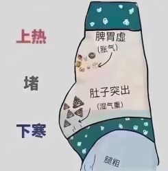 -香薇妮丝女子减肥院