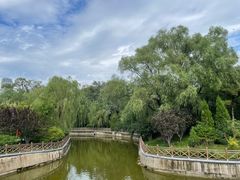 -迎泽公园