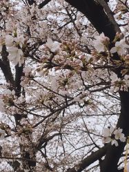 -晴川假日酒店·宴会厅·会议厅