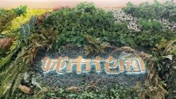 点击看大图 -城市花园婚纱摄影