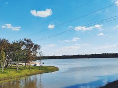 -上海海湾国家森林公园