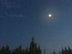 -舅姥爷砂锅(正阳路)