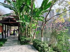 -重庆彩云湖湿地公园