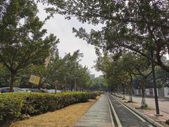 -四川大学(望江校区)