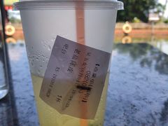 老盐陈皮-侯臣咖啡文化村