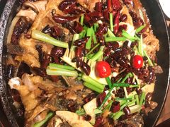 -老板恋上鱼(印象城店)