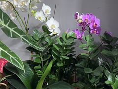 -何兮花店·气球派对鲜花店(马桥银春路万科城店)