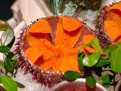 -普朗姆生蚝吧(原建国路店)
