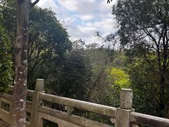 -红花湖景区