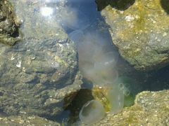 -青岛第三海水浴场