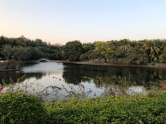 -深圳龙潭公园
