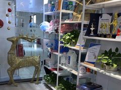 -中央芭蕾舞团·中芭艺蕾(酒仙桥明星校区)
