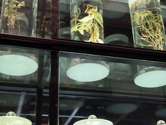 -广东中医药博物馆