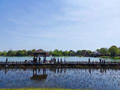 -尚湖风景区