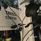 藏在江南西的☕特调天花板👍