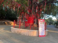 -芦苞胥江祖庙