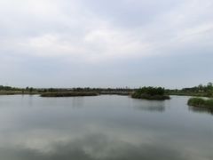 -淇河国家湿地公园