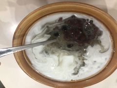 五加-糖潮糖水铺(省府店)