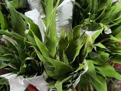 -循礼门鲜花花市(武汉循礼门店)