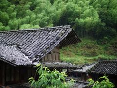 -林坑古村落
