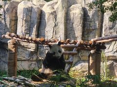 -东莞香市动物园