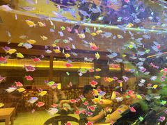 -大江户·温泉洗浴(浑南店)
