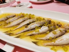 清蒸梅童-高佳庄·舟山海鲜(海景旗舰店)