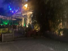 -老洋房花园饭店(绍兴路店)