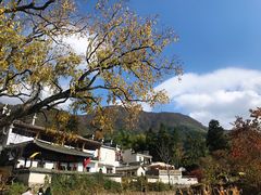 -塔川景区