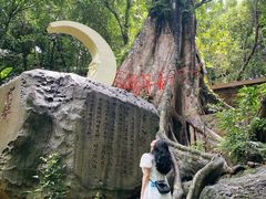 -七仙岭温泉国家森林公园