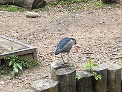 -常州淹城野生动物世界