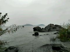 -上海市保健医疗中心(华东疗养院)