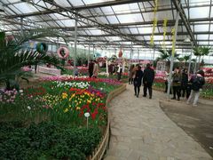 -石家庄市植物园