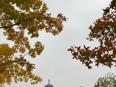 -永定河休闲森林公园