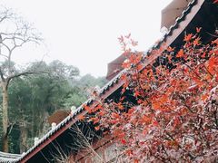 -韬光茶庵