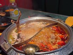 -牛New寿喜烧(金鹰世界店)