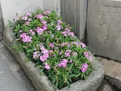 -南京夫子庙石唯玉雨花石酒店
