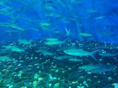 -成都浩海立方海洋公园