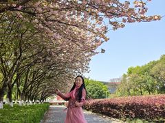 -南京奥林匹克体育中心