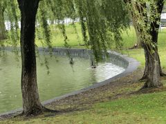 -东华大学(松江校区)