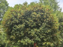 -天目湖御水温泉·度假酒店