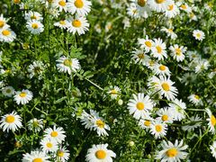 -昆山城市生态森林公园