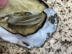 -日照大牌檔•小船海鲜(万平口店)