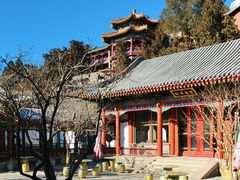 -宫事颐庭·老佛爷贵寿下午茶(颐和园店)